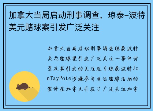 加拿大当局启动刑事调查，琼泰-波特美元赌球案引发广泛关注