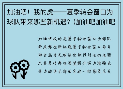 加油吧！我的虎——夏季转会窗口为球队带来哪些新机遇？(加油吧加油吧我们加油吧)